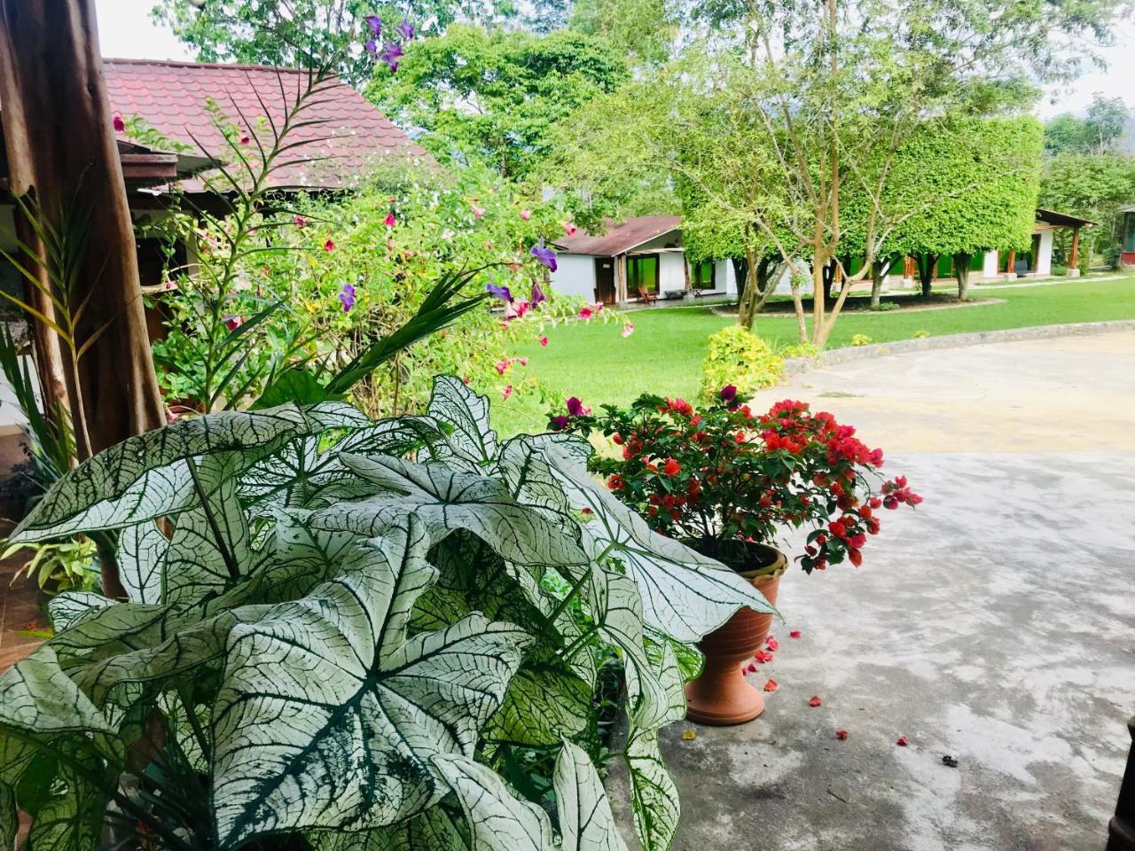 Yantzaza Hosteria Tierra Dorada المظهر الخارجي الصورة